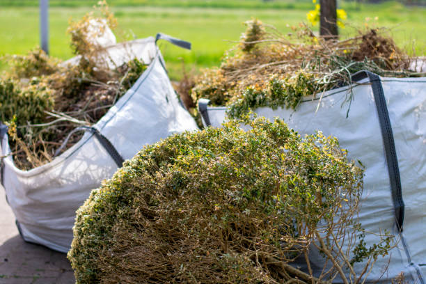 Household Junk Removal in Craig Beach, OH